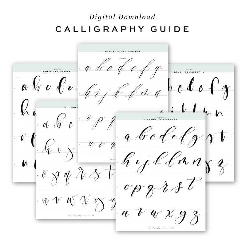 CalligraphyPracticeGuidesProcreateApp1
