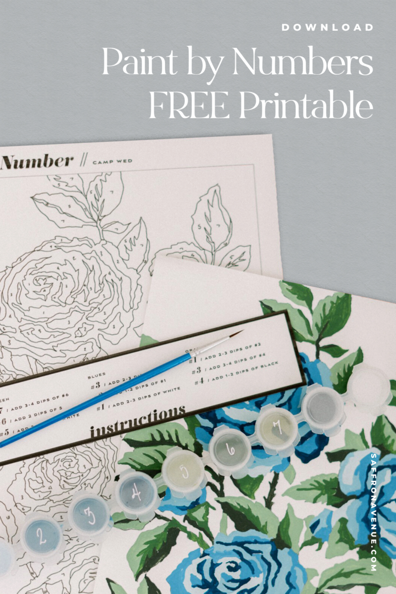 Free Paint by Numbers Printable