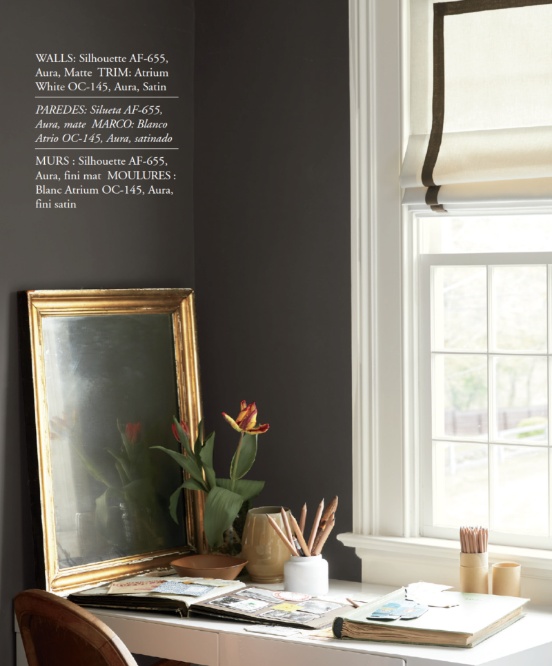 Benjamin Moore Silhouette Color of the Year