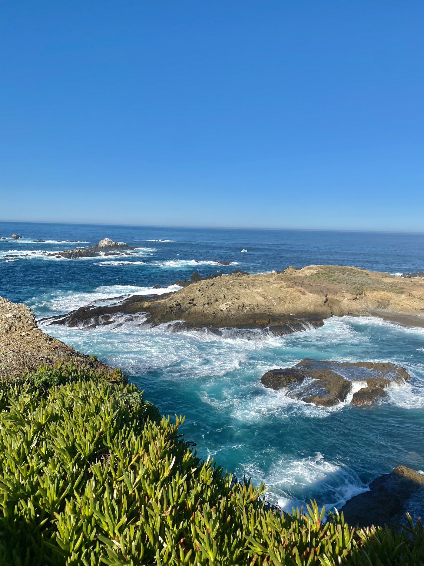 Point Lobos, Carmel by the Sea, California