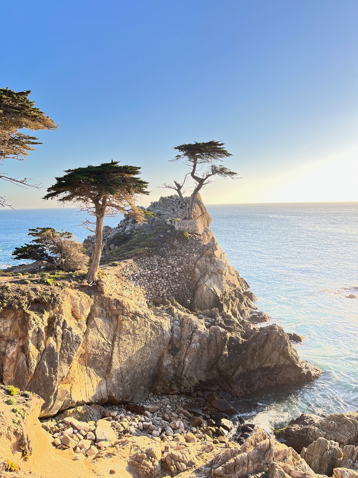 Lone Cypress Tree, Pebble Beach, Monterey, California