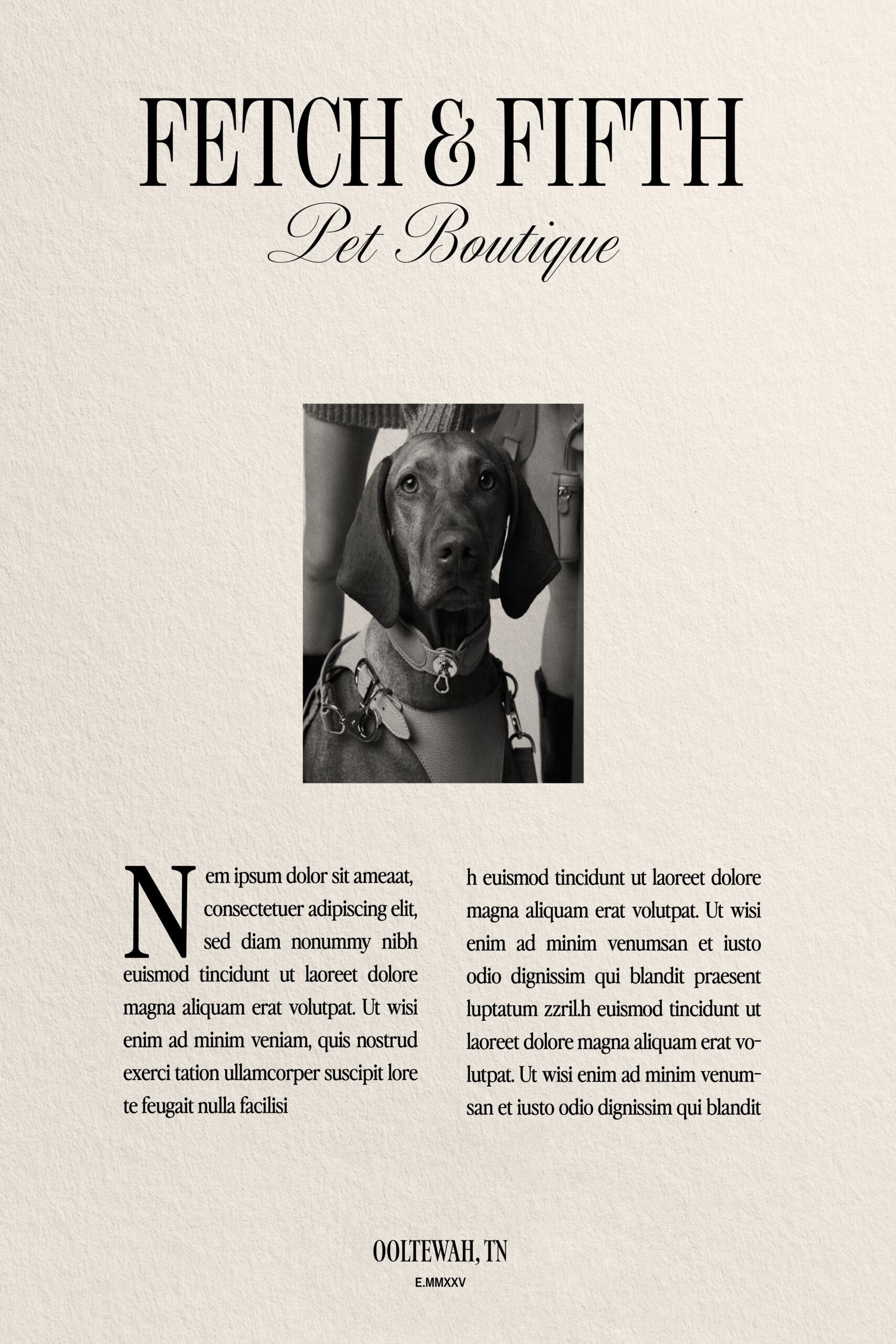 Editorial brand identity design layout by brand identity designer for Fetch & Fifth Pet Boutique featuring dog photography