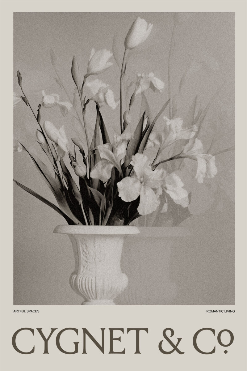 creative brand identity layout showcasing the Cygnet Semi-Custom system